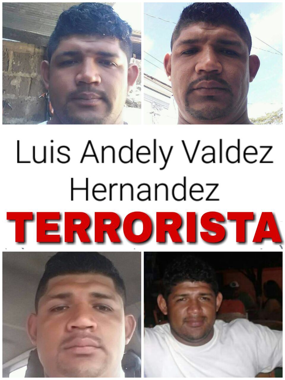 Luis3